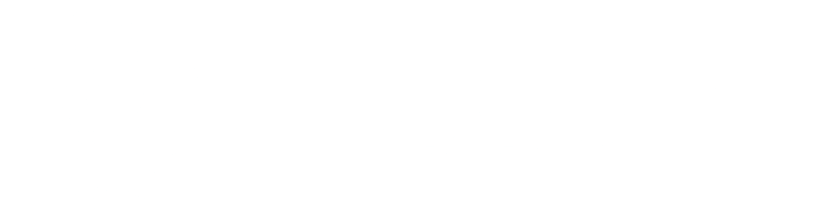Sellozy Logo